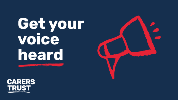 Young Carers Survey